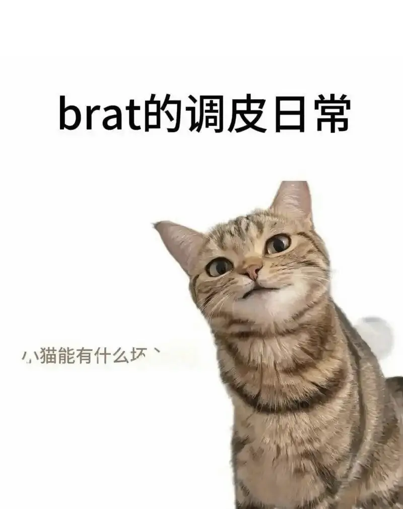 西檬之家字母圈入圈必看:新人如何建立信任与安全边界? 一