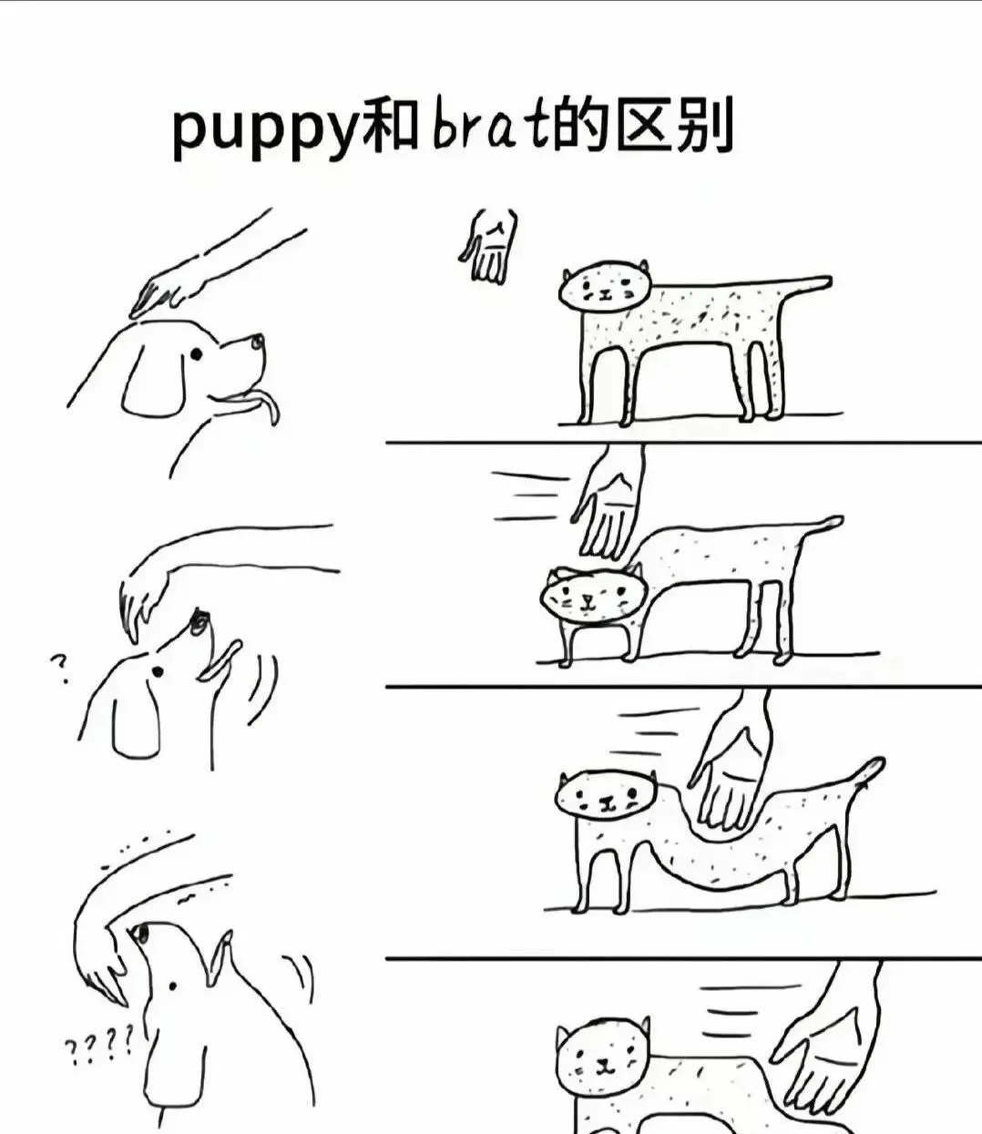 西檬之家k9犬系是什么?你的属性是? 一