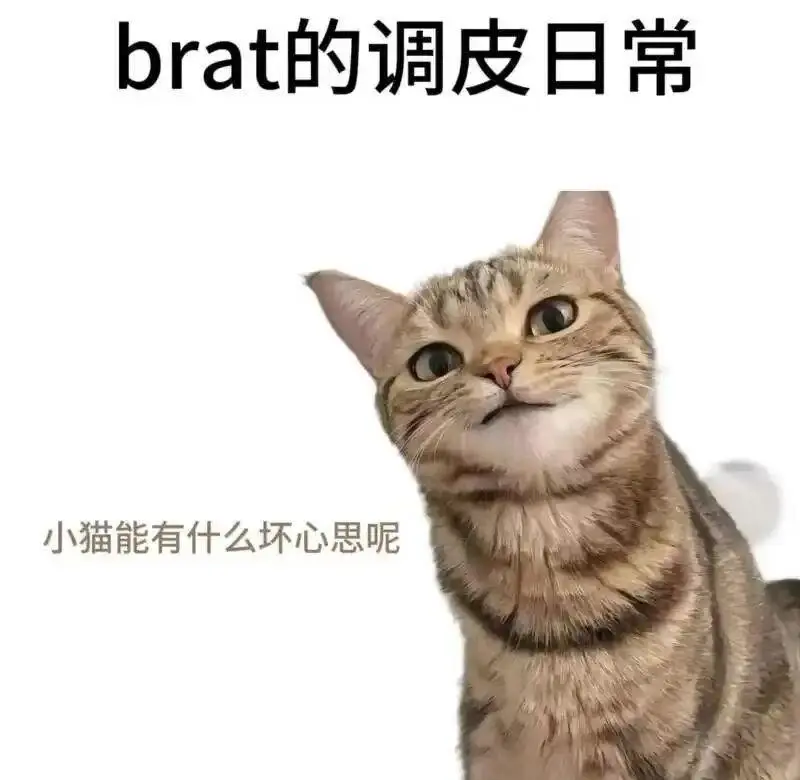 西檬之家-字母圈新人如何入圈? 一