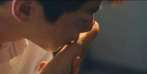 西檬之家字母圈K9犬系入门指南 一