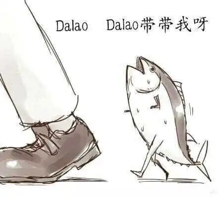 西檬之家K8是什么?字母圈新人入圈 一