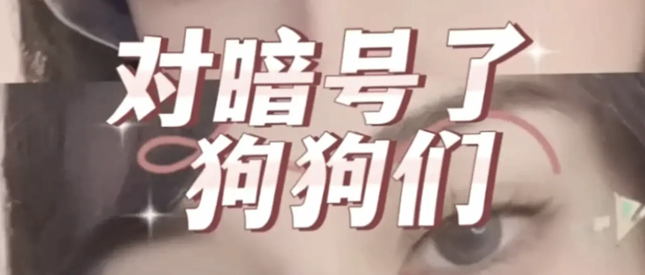 西檬之家S倾向是什么意思?字母圈新人入圈 一