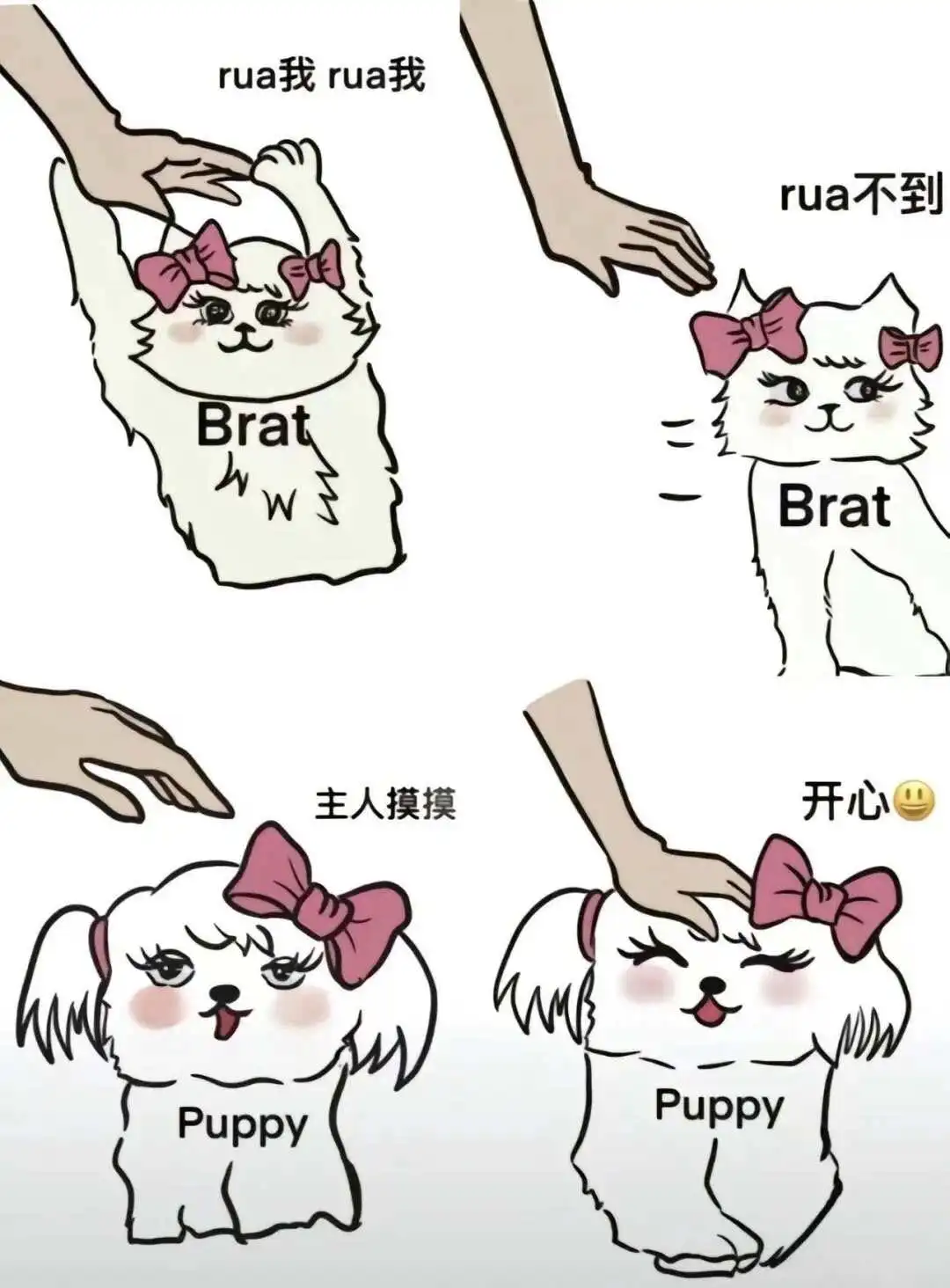 西檬之家字母圈女王是什么? 一
