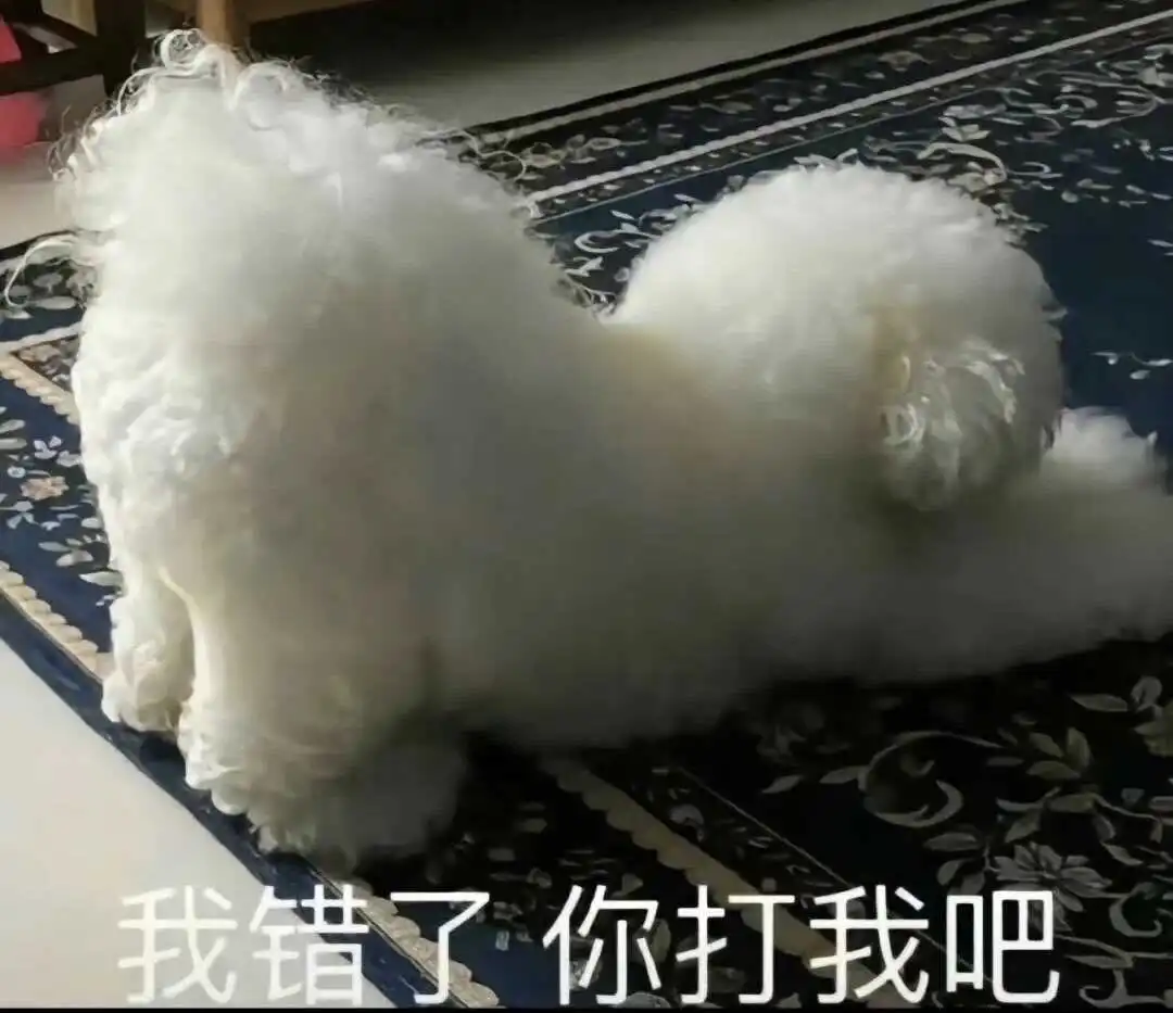西檬之家什么是M倾向?字母圈新人入圈 一