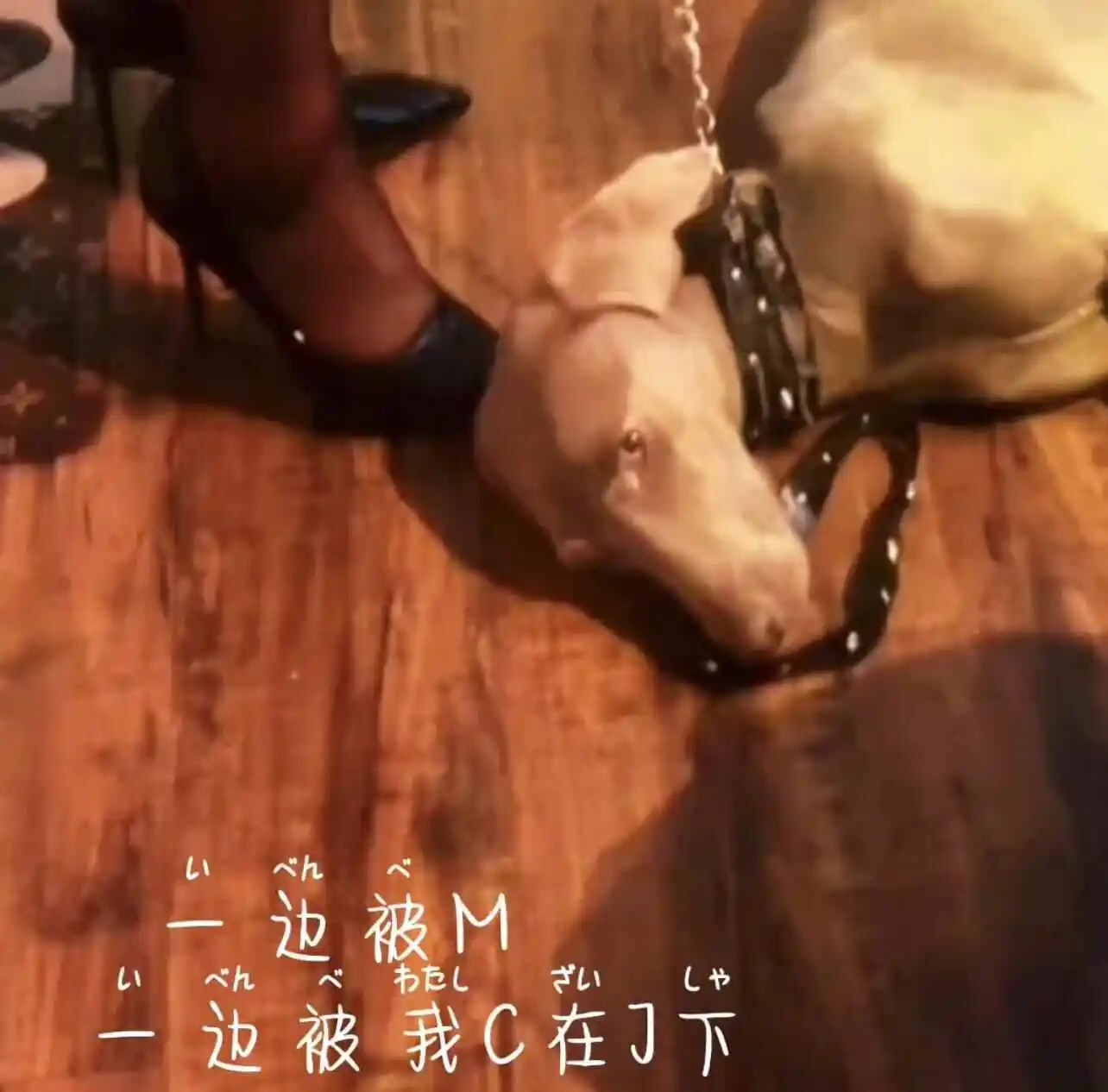 西檬之家s属性是什么?字母圈里你适合哪种角色? 一