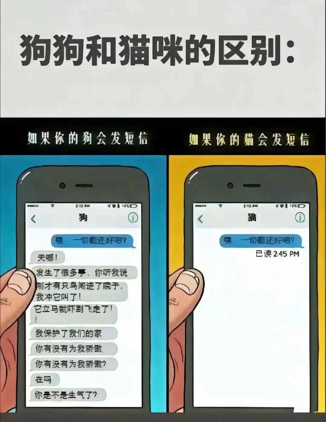 西檬之家DS关系是什么? 一
