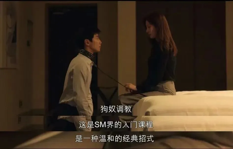 西檬之家k8是什么?字母圈猫奴属性解析 一