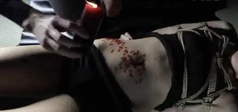 西檬之家S倾向是什么意思? 一