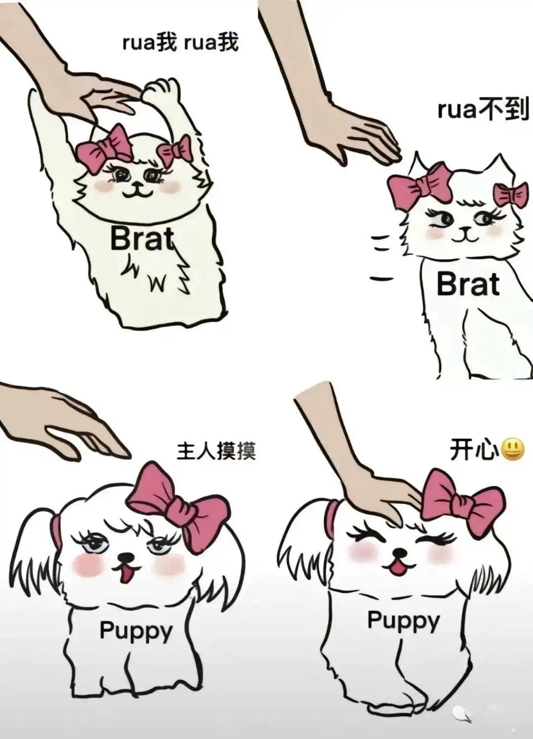 西檬之家brat属性是什么?字母圈新人入圈指南 一